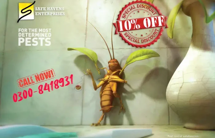For the determined Pests copy pest control services