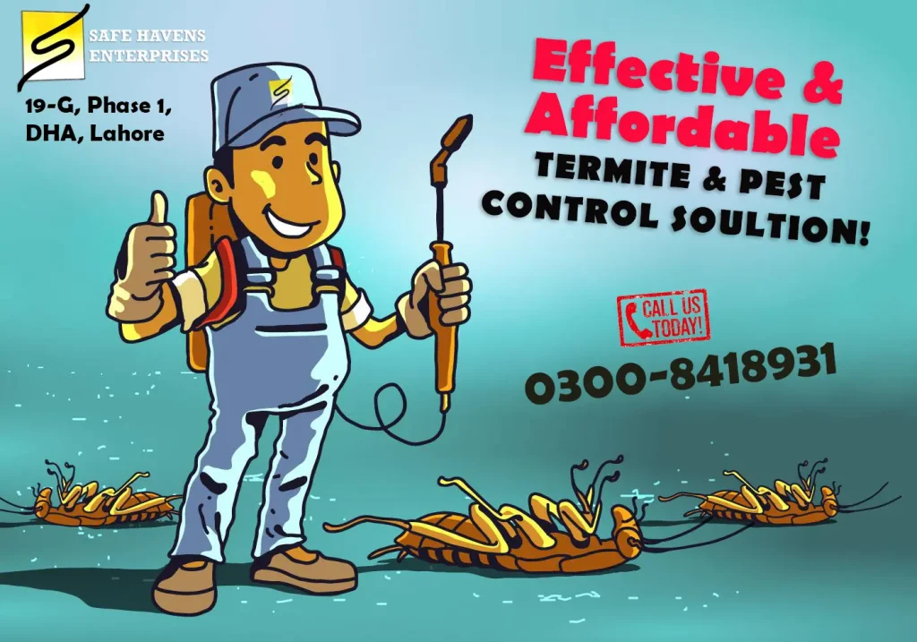 Pest_Termite_Control pest_control_services